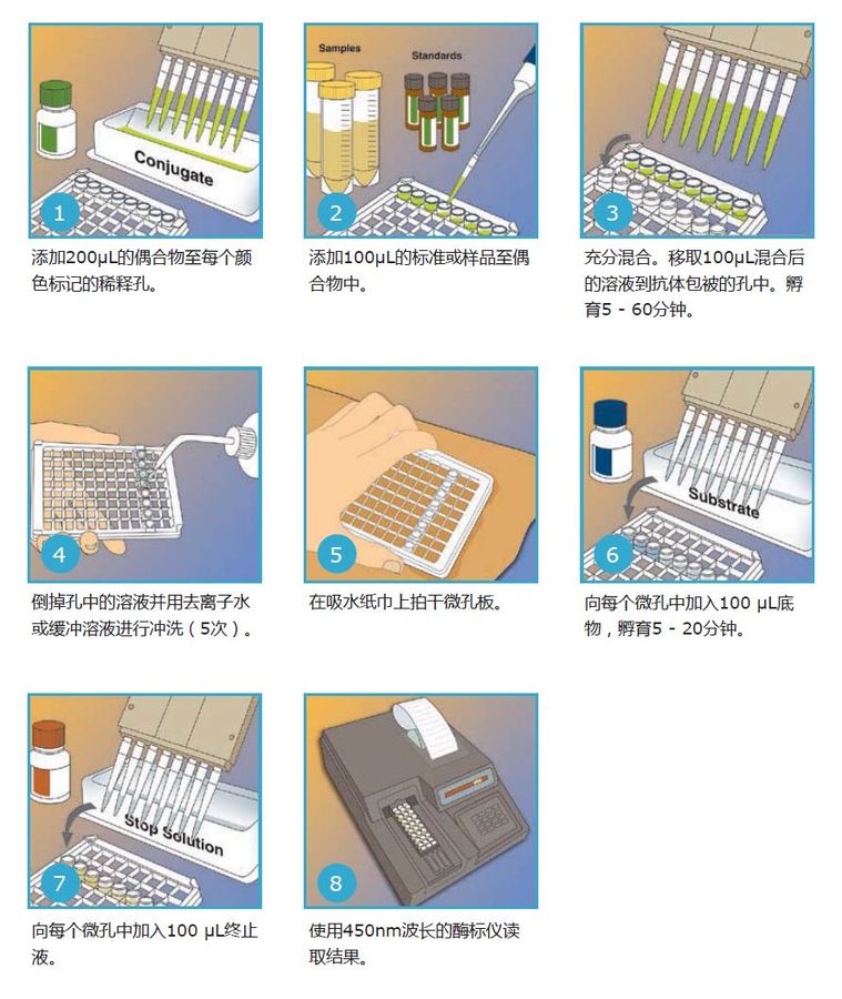 毒素ELISA操作.JPG